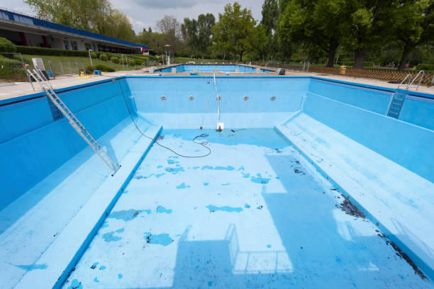 Best Basement water damage restoration  in West Point, NE