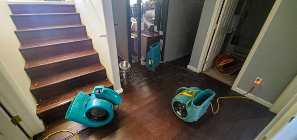 Best Mold removal after water damage  in West Point, NE