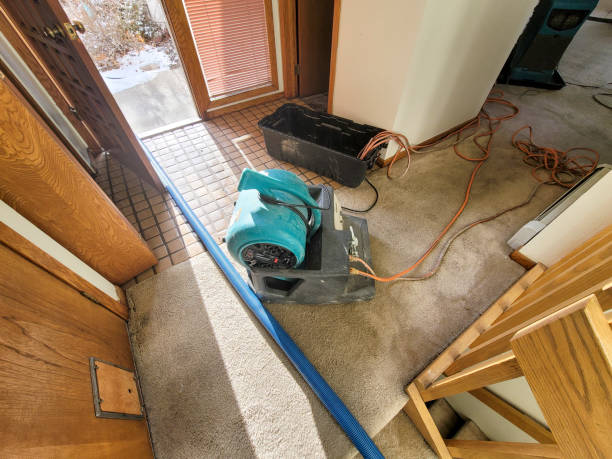 Best Fire Damage Restoration  in West Point, NE