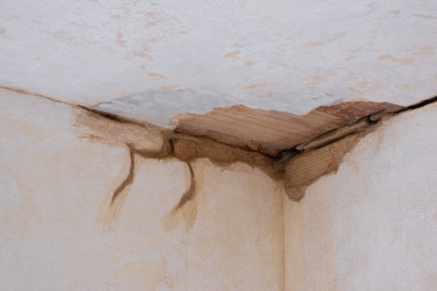 Best Sewage cleanup and water damage restoration  in West Point, NE