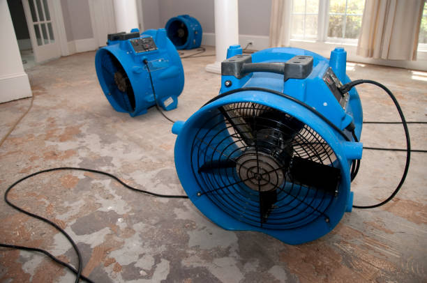  West Point, NE Water damage restoration Pros