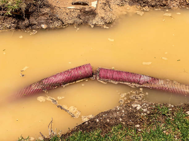 Local water damage restoration in West Point, NE