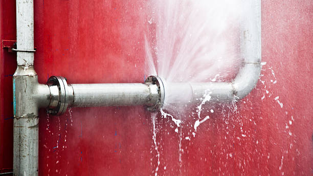 Best Water damage restoration near me  in West Point, NE